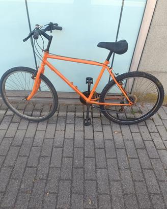 bici MTB e Cruiser 
