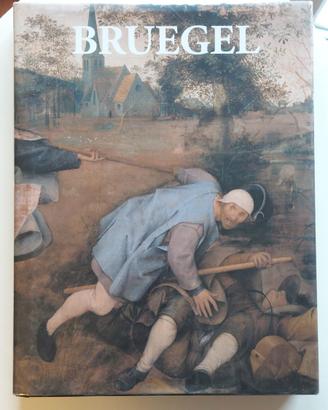 Libro Pieter Bruegel