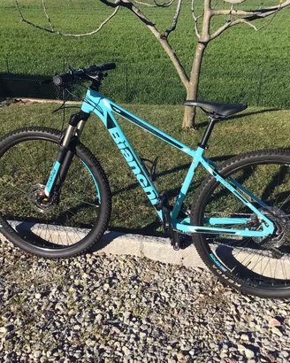 Mountain bike