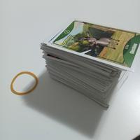 Carte gioco Le grandi avventure 2014