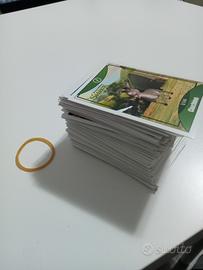 Carte gioco Le grandi avventure 2014