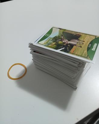 Carte gioco Le grandi avventure 2014