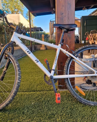 bicicletta