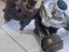 Immagine 2