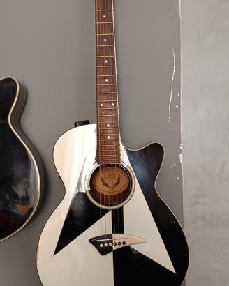 Chitarra Acustica  Michael Schenker

