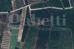 Terreno Agricolo Corchiano [Cod. rif 3213965VCG]