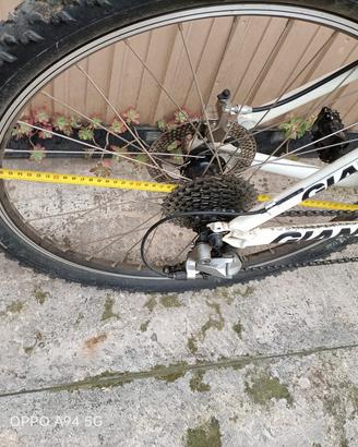 Mountain bike Giant