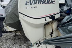 Evinrude E tec 175 cv
