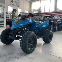 Cf Moto Altro CFORCE 110 INIEZIONE