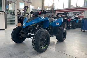 Cf Moto Altro CFORCE 110 INIEZIONE