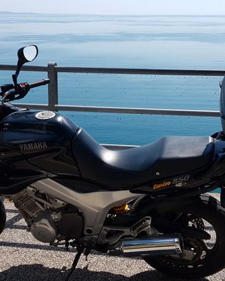 yamaha tdm 850