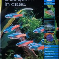 L’ ACQUARIO IN CASA