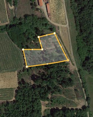 Terreni per bosco o vigna