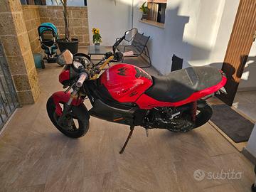gilera dna
