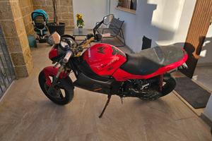 gilera dna