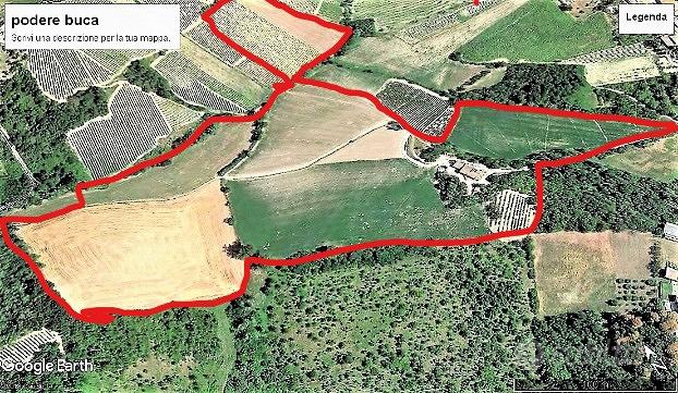 Terreno con rustici - Vista 5