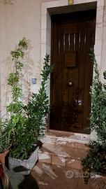 Casina Giu Giu appartamentino open