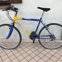 Bicicletta sportiva Unisex