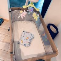 Culla Co-sleeping Chicco Next2Me