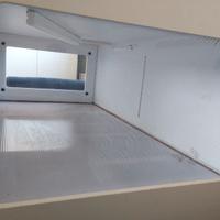 Teca per pitone reale