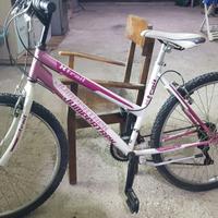 Bici Rosa da – €100 NON tratta