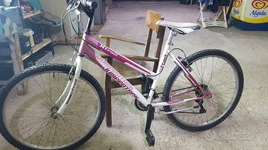 Bici Rosa da – €100 NON tratta
