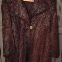 pelliccia castoro selvaggio 