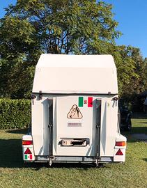 Trailer  Pedretti in vetroresina due posti