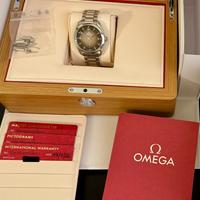 Omega Seamaster Railmaster 38 like New 2026