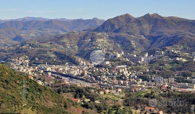 CAPANNONE A GENOVA
