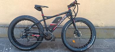 bici elettrica 