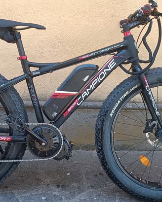 bici elettrica 