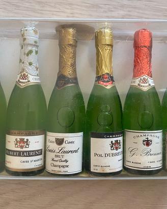 Rara confezione 6 bottigliette champagne ALPA