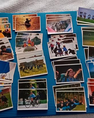 95 cartoline Scouts Agesci 