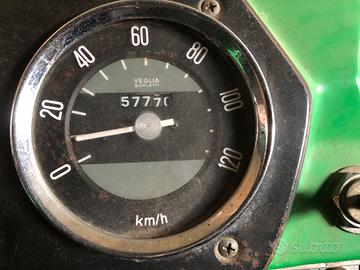 Camion OM40 per trasporto animali