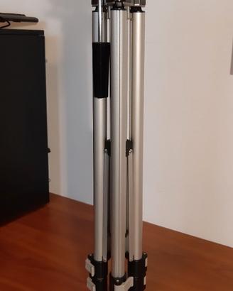 Cavalletto slik