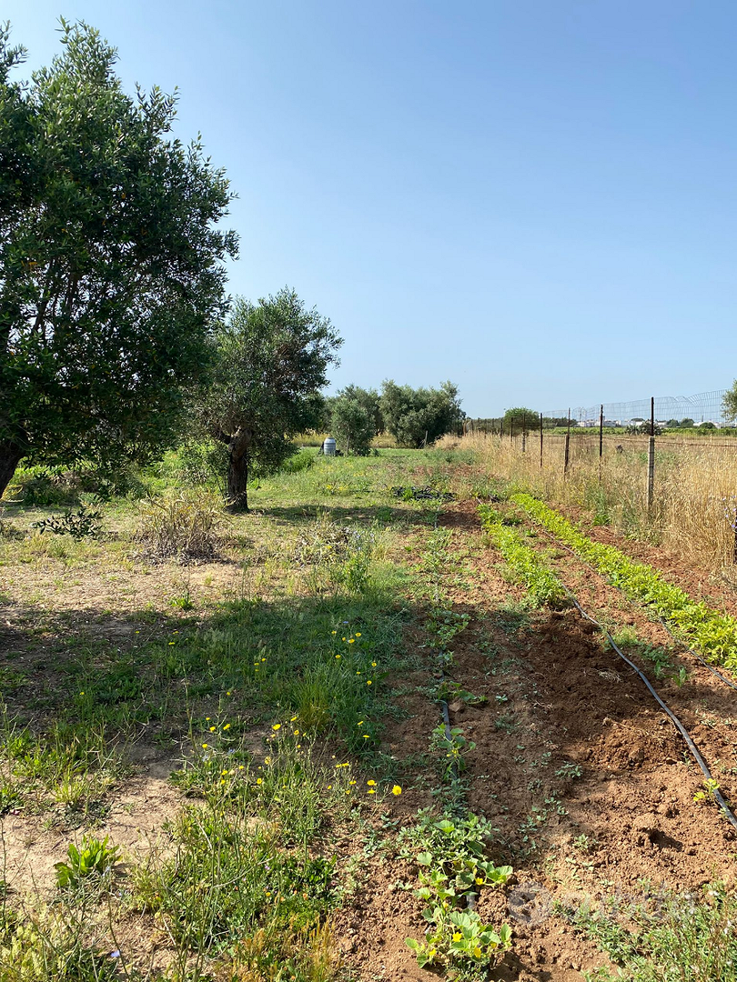 Terreno agricolo - View 5