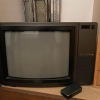 Televisore TV Sony Trinitron 22" Epoca