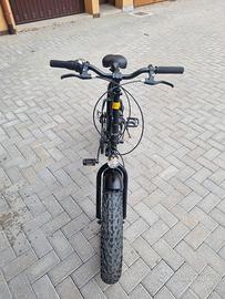 bicicletta pieghevole