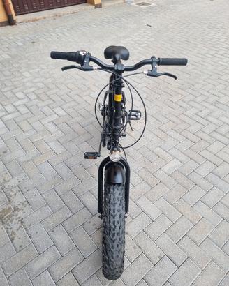 bicicletta pieghevole