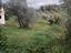 Immagine 18