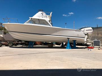 Bertram 25 Flybridge