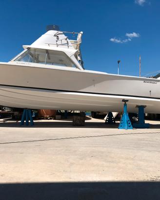 Bertram 25 Flybridge