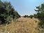Immagine 25