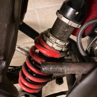 Mono ammortizzatore am6