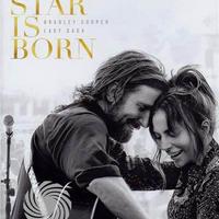 Dvd : A Star is born - Serie the Young Pope