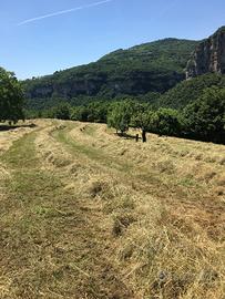 Fieno per Conigli Biologico