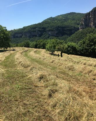 Fieno per Conigli Biologico