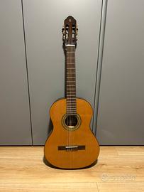 Chitarra EKO vibra 200 natural