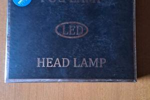 Lampadine H7
